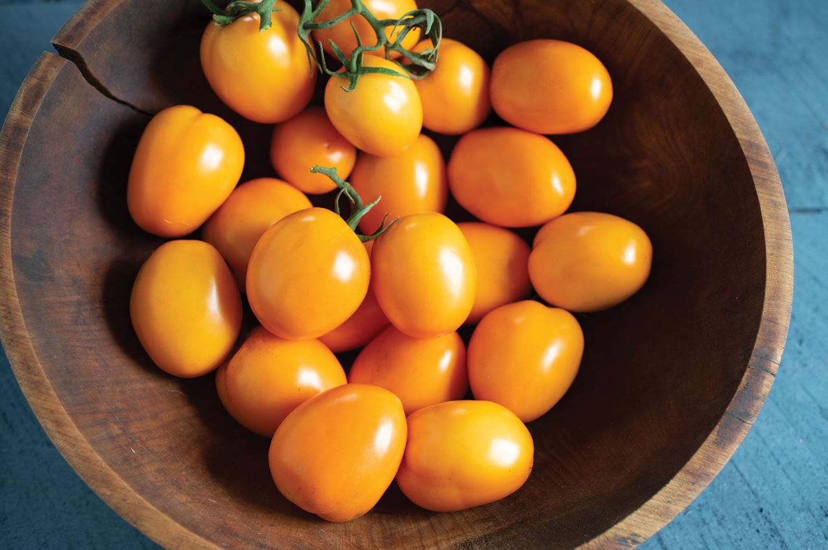 Sunrise Sauce – Tomato Seed
